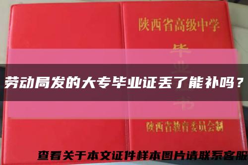 劳动局发的大专毕业证丢了能补吗？缩略图