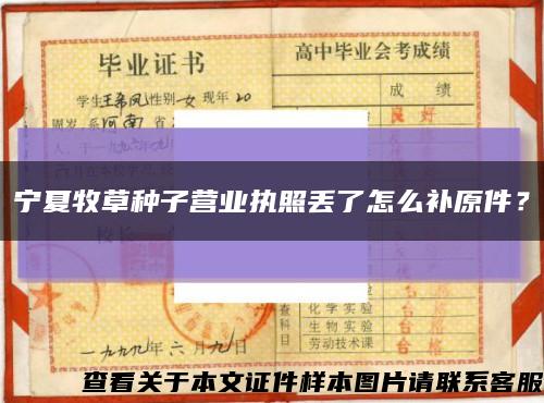 宁夏牧草种子营业执照丢了怎么补原件？缩略图