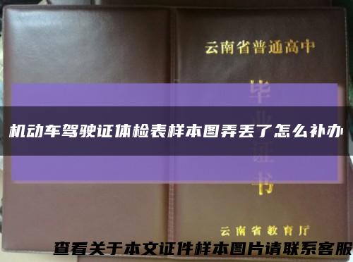 机动车驾驶证体检表样本图弄丢了怎么补办缩略图