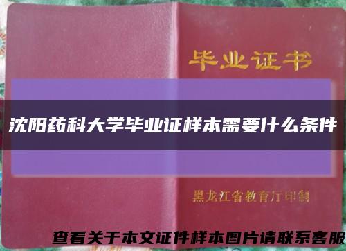 沈阳药科大学毕业证样本需要什么条件缩略图