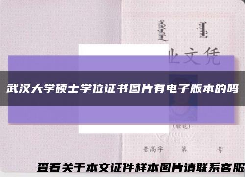 武汉大学硕士学位证书图片有电子版本的吗缩略图