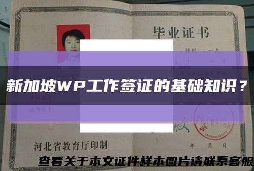 新加坡WP工作签证的基础知识？缩略图