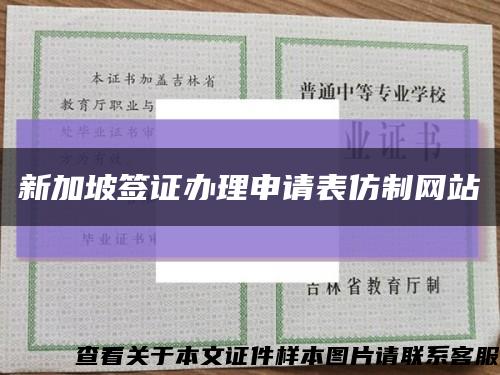 新加坡签证办理申请表仿制网站缩略图