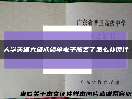 大学英语六级成绩单电子版丢了怎么补原件缩略图