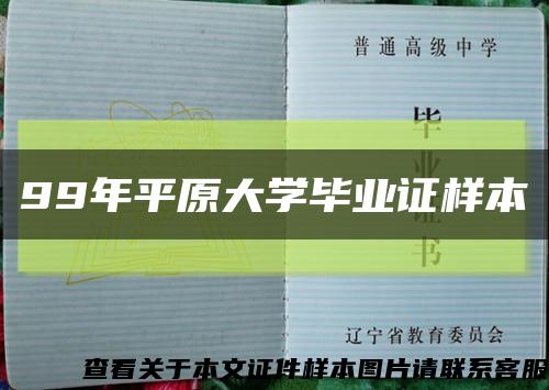 99年平原大学毕业证样本缩略图