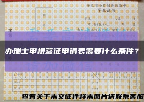 办瑞士申根签证申请表需要什么条件？缩略图