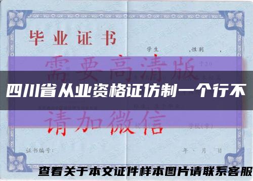 四川省从业资格证仿制一个行不缩略图