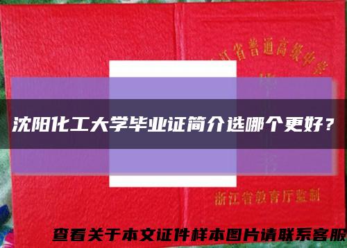 沈阳化工大学毕业证简介选哪个更好？缩略图