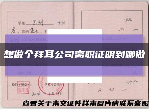 想做个拜耳公司离职证明到哪做缩略图