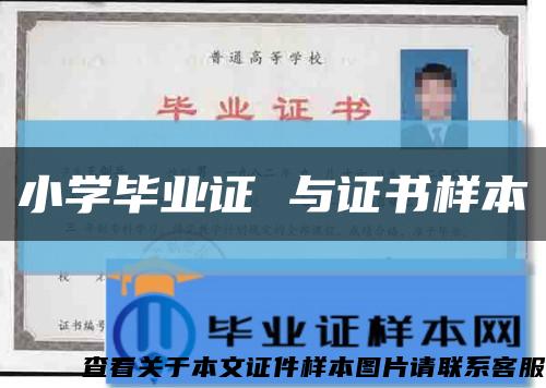 小学毕业证 与证书样本缩略图