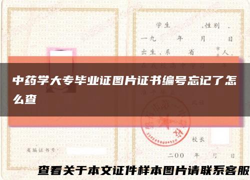 中药学大专毕业证图片证书编号忘记了怎么查缩略图