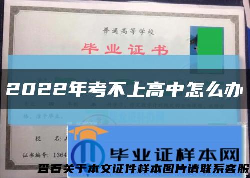 2022年考不上高中怎么办缩略图