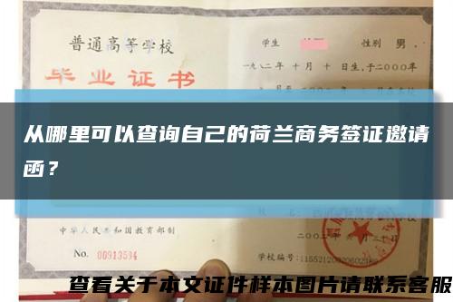 从哪里可以查询自己的荷兰商务签证邀请函？缩略图