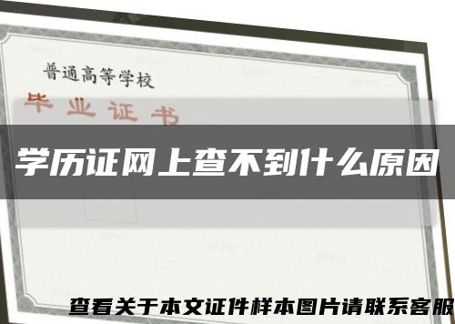 学历证网上查不到什么原因缩略图