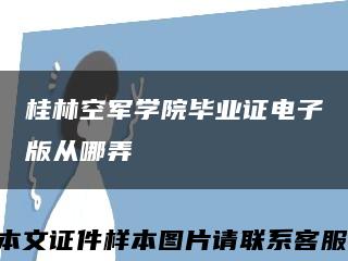 桂林空军学院毕业证电子版从哪弄缩略图