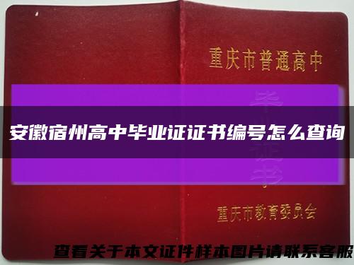 安徽宿州高中毕业证证书编号怎么查询缩略图