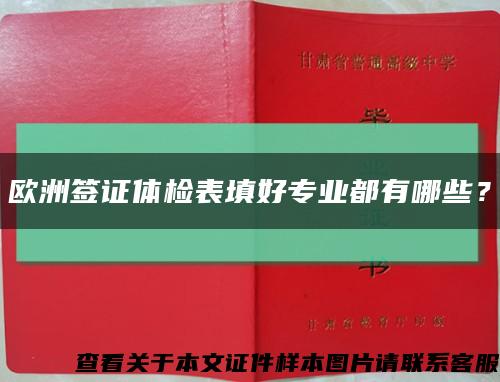 欧洲签证体检表填好专业都有哪些？缩略图