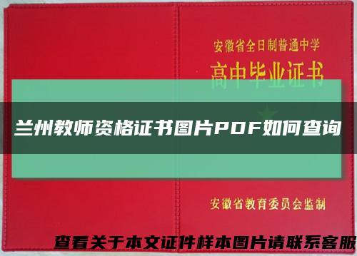 兰州教师资格证书图片PDF如何查询缩略图