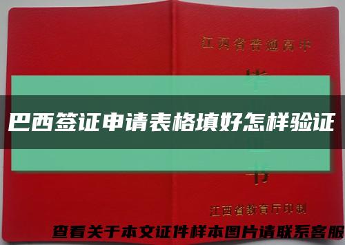 巴西签证申请表格填好怎样验证缩略图