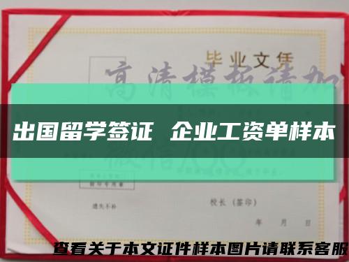 出国留学签证 企业工资单样本缩略图