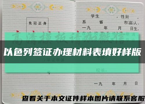 以色列签证办理材料表填好样版缩略图