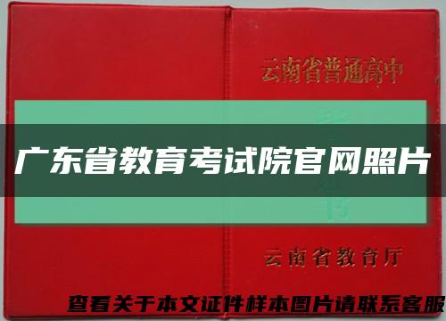 广东省教育考试院官网照片缩略图