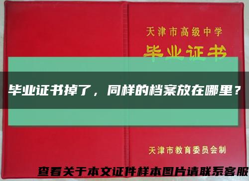 毕业证书掉了，同样的档案放在哪里？缩略图