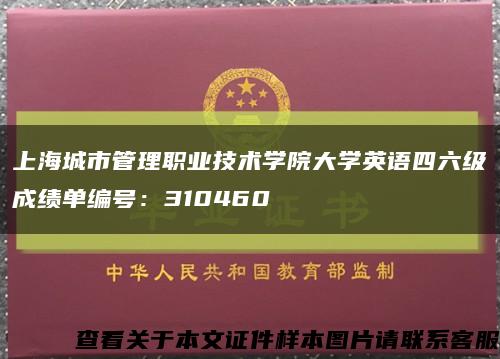 上海城市管理职业技术学院大学英语四六级成绩单编号：310460缩略图