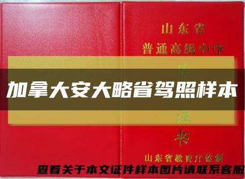 加拿大安大略省驾照样本缩略图