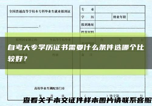 自考大专学历证书需要什么条件选哪个比较好？缩略图