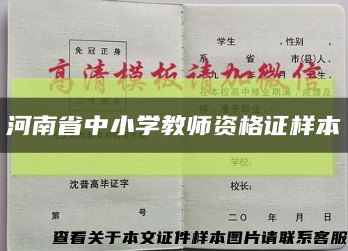 河南省中小学教师资格证样本缩略图