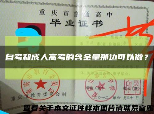 自考和成人高考的含金量那边可以做？缩略图