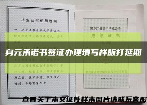 身元承诺书签证办理填写样版打延期缩略图