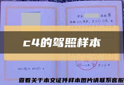 c4的驾照样本缩略图