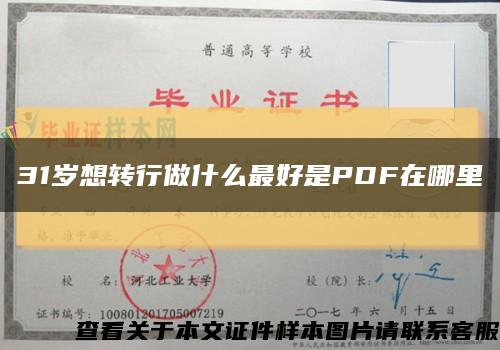 31岁想转行做什么最好是PDF在哪里缩略图