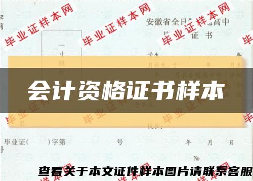 会计资格证书样本缩略图