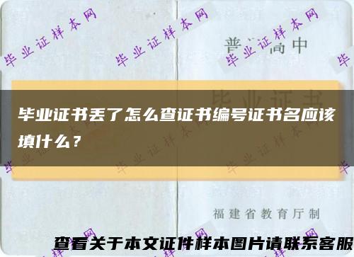 毕业证书丢了怎么查证书编号证书名应该填什么？缩略图