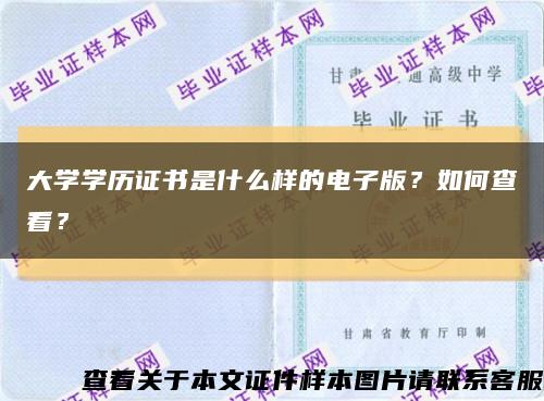 大学学历证书是什么样的电子版？如何查看？缩略图