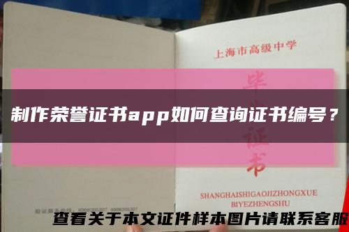 制作荣誉证书app如何查询证书编号？缩略图