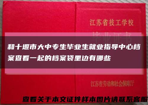 和十堰市大中专生毕业生就业指导中心档案查看一起的档案袋里边有哪些缩略图