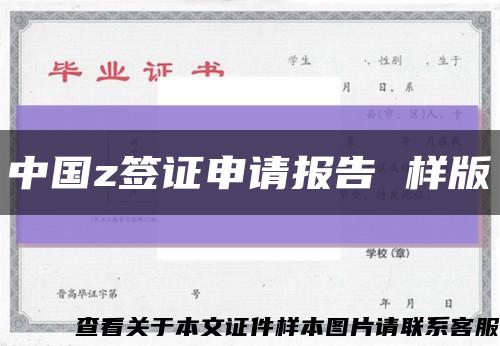 中国z签证申请报告 样版缩略图