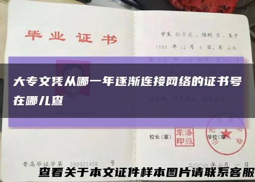 大专文凭从哪一年逐渐连接网络的证书号在哪儿查缩略图