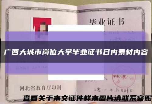 广西大城市岗位大学毕业证书日内素材内容缩略图