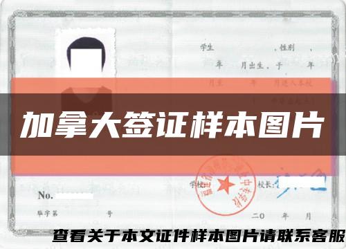 加拿大签证样本图片缩略图