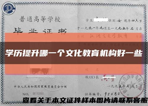 学历提升哪一个文化教育机构好一些缩略图