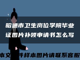 昭通市卫生岗位学院毕业证图片补领申请书怎么写缩略图