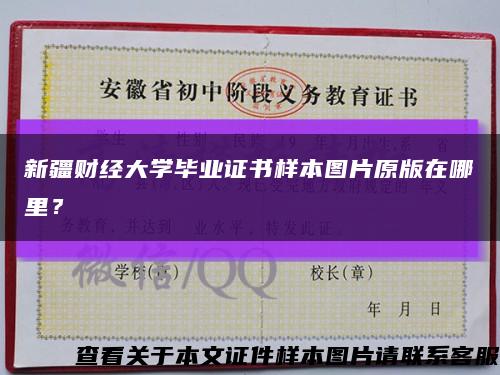 新疆财经大学毕业证书样本图片原版在哪里？缩略图