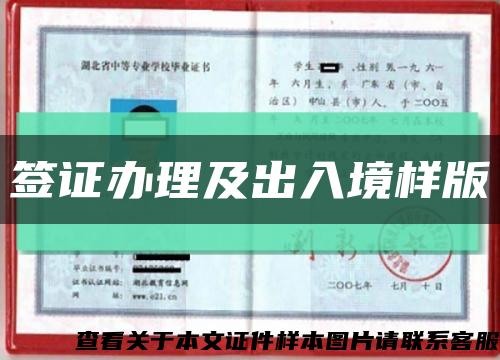 签证办理及出入境样版缩略图