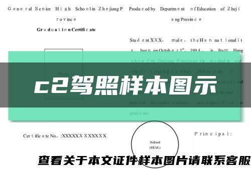 c2驾照样本图示缩略图