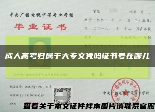 成人高考归属于大专文凭吗证书号在哪儿缩略图